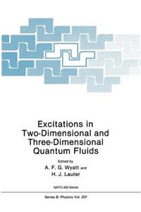 Excitations in Two-Dimensional and Three-Dimensional Quantum Fluids