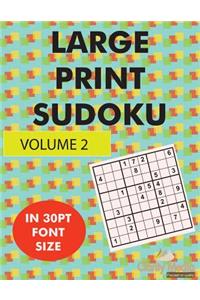 Large Print Sudoku Volume 2