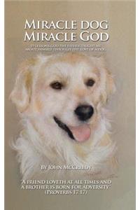 Miracle Dog Miracle God