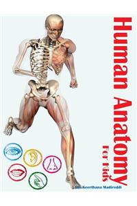 Human Anatomy for Kids