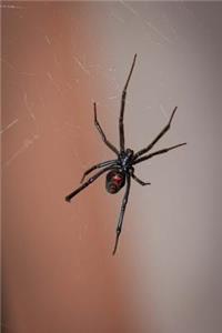 Black Widow Spider in Its Web Journal