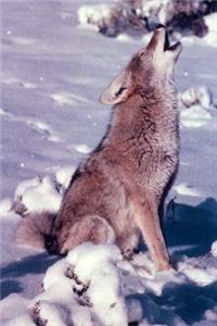 A Howling Coyote on a Rocky Peak in the Desert Journal