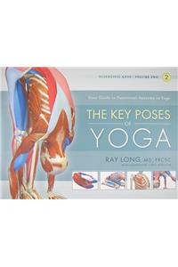 The Key Poses of Yoga