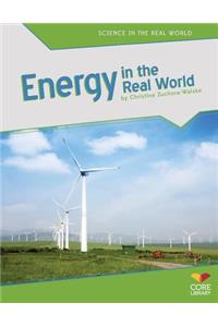 Energy in the Real World