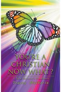 You're a Christian Now What?