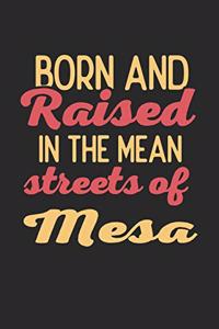 Born And Raised In The Mean Streets Of Mesa