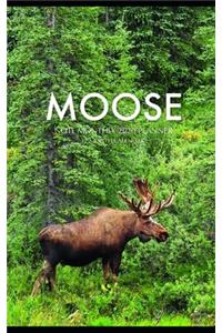 Moose Note Monthly 2020 Planner 12 Month Calendar