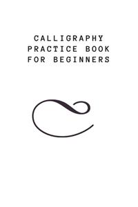 Calligraphy Practice Book for Beginners