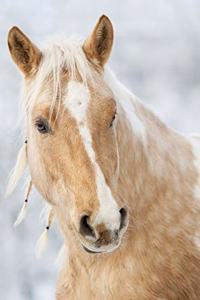 Horse Lovers 2020 Weekly Monthly Planner