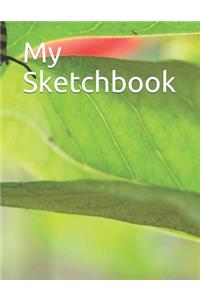 My Sketchbook