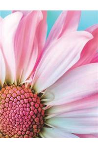 Daisy Daisies Flower Pink Pretty Petal Flora Floral Perfume Perfumed Aroma Bloom