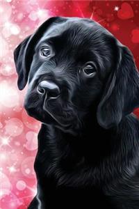 Black Lab Puppy Journal