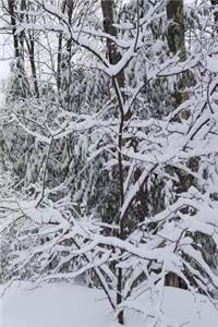 2019 Daily Planner Winter Scenic Snowy Forest 384 Pages