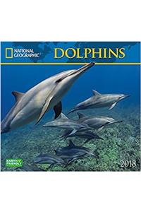 National Geographic Dolphins 2018 Wall Calendar
