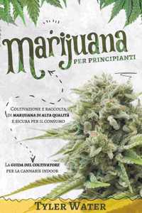 Coltivazione della Marijuana per Principianti