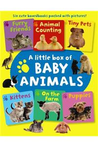 Little Box of Baby Animals