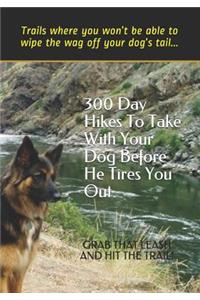 300 Day Hikes To Take With Your Dog Before He Tires You Out