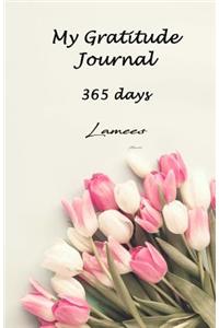 My Gratitude Journal 365 days