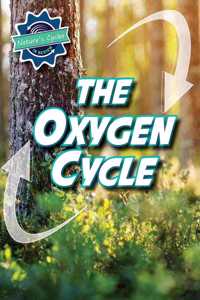 The Oxygen Cycle