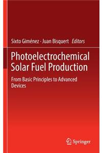 Photoelectrochemical Solar Fuel Production