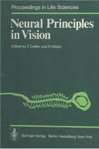 Neural Principles in Vision