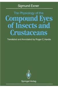 Physiology of the Compound Eyes of Insects and