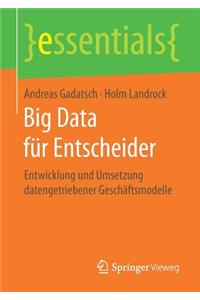 Big Data für Entscheider