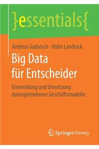 Big Data Für Entscheider