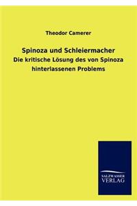 Spinoza und Schleiermacher