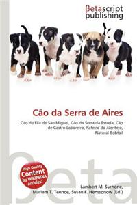 Cao Da Serra de Aires