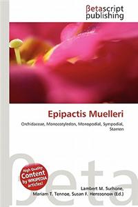 Epipactis Muelleri