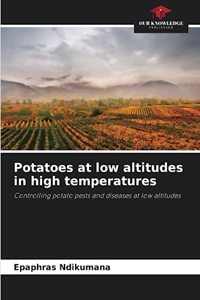 Potatoes at low altitudes in high temperatures