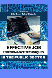 Effective job performance techniques in the public sector