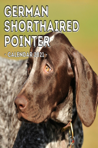 German Shorthaired Pointer