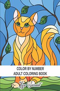 Color By Number Adult Coloring Book