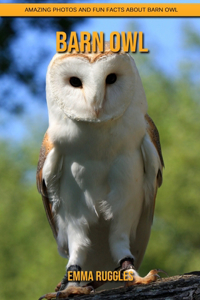 Barn Owl