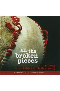 All the Broken Pieces