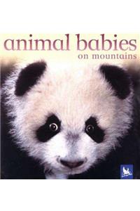 US Animal Babies on Mountains