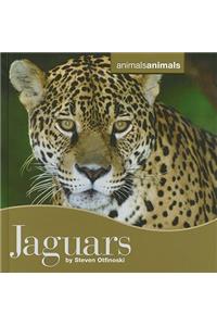 Jaguars