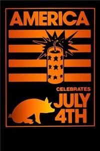 america celebrates july 4th