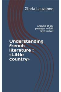 Understanding french literature