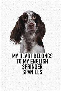 My Heart Belongs to My English Springer Spaniels