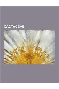 Cactaceae