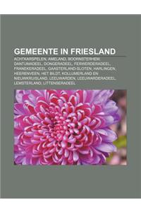 Gemeente in Friesland