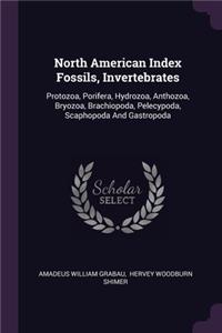 North American Index Fossils, Invertebrates: Protozoa, Porifera, Hydrozoa, Anthozoa, Bryozoa, Brachiopoda, Pelecypoda, Scaphopoda And Gastropoda