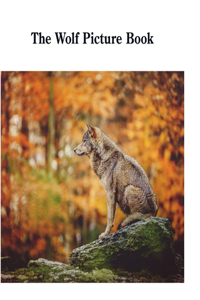 Wolf Picture Book