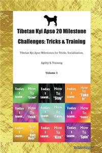 Tibetan Kyi Apso 20 Milestone Challenges