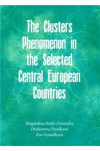 Clusters Phenomenon in the Selected Central European Countries