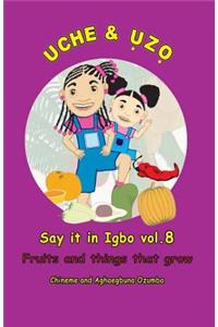Uche and Uzo Say it in Igbo vol.8