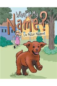 What's My Name?